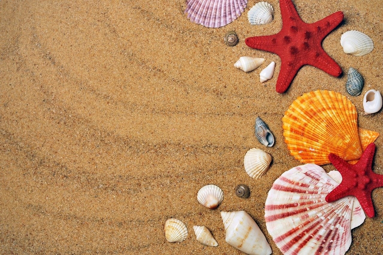Offerta giugno e luglio al mare